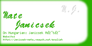 mate janicsek business card